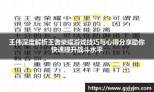 王伟深度解析王者荣耀游戏技巧与心得分享助你快速提升战斗水平